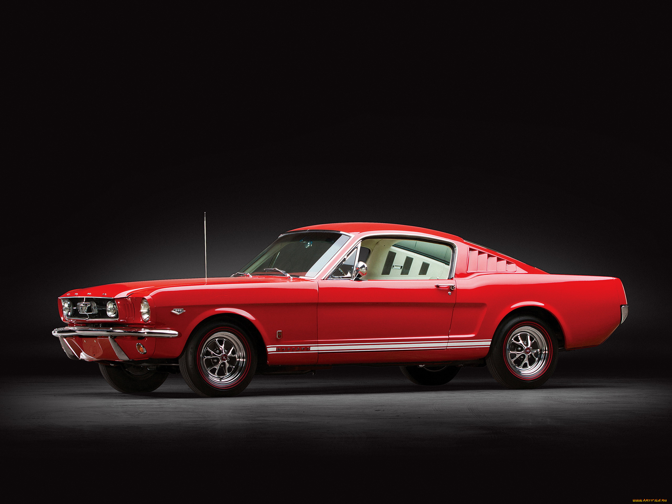 , mustang